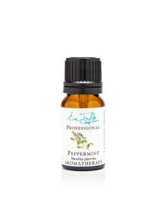 Peppermint / Balm Mint