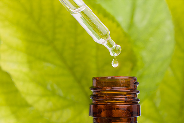 The Power of Aromatherapy 